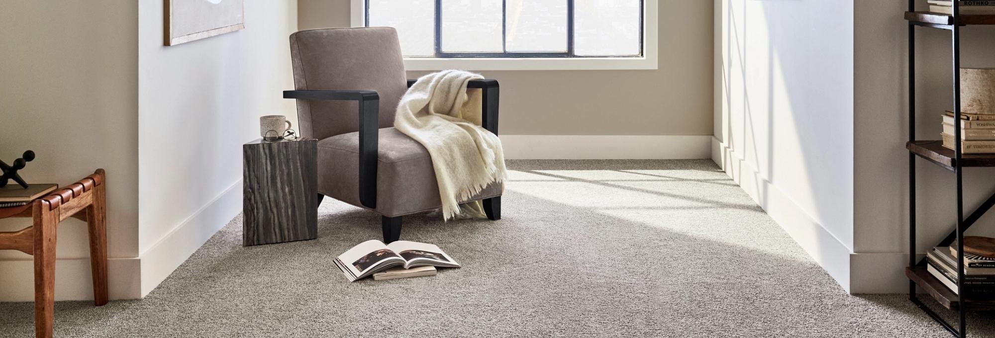 Living room with carpet